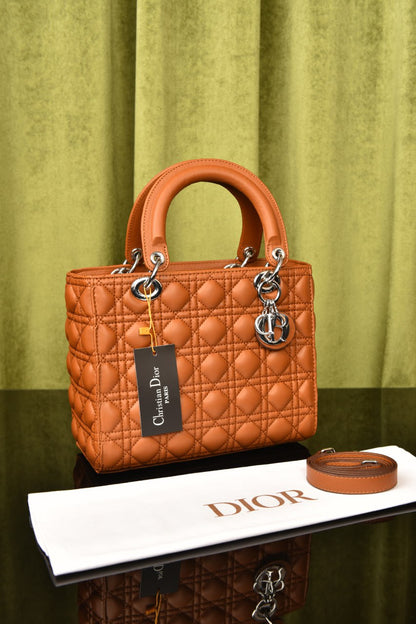 Lady Dl0r Bag