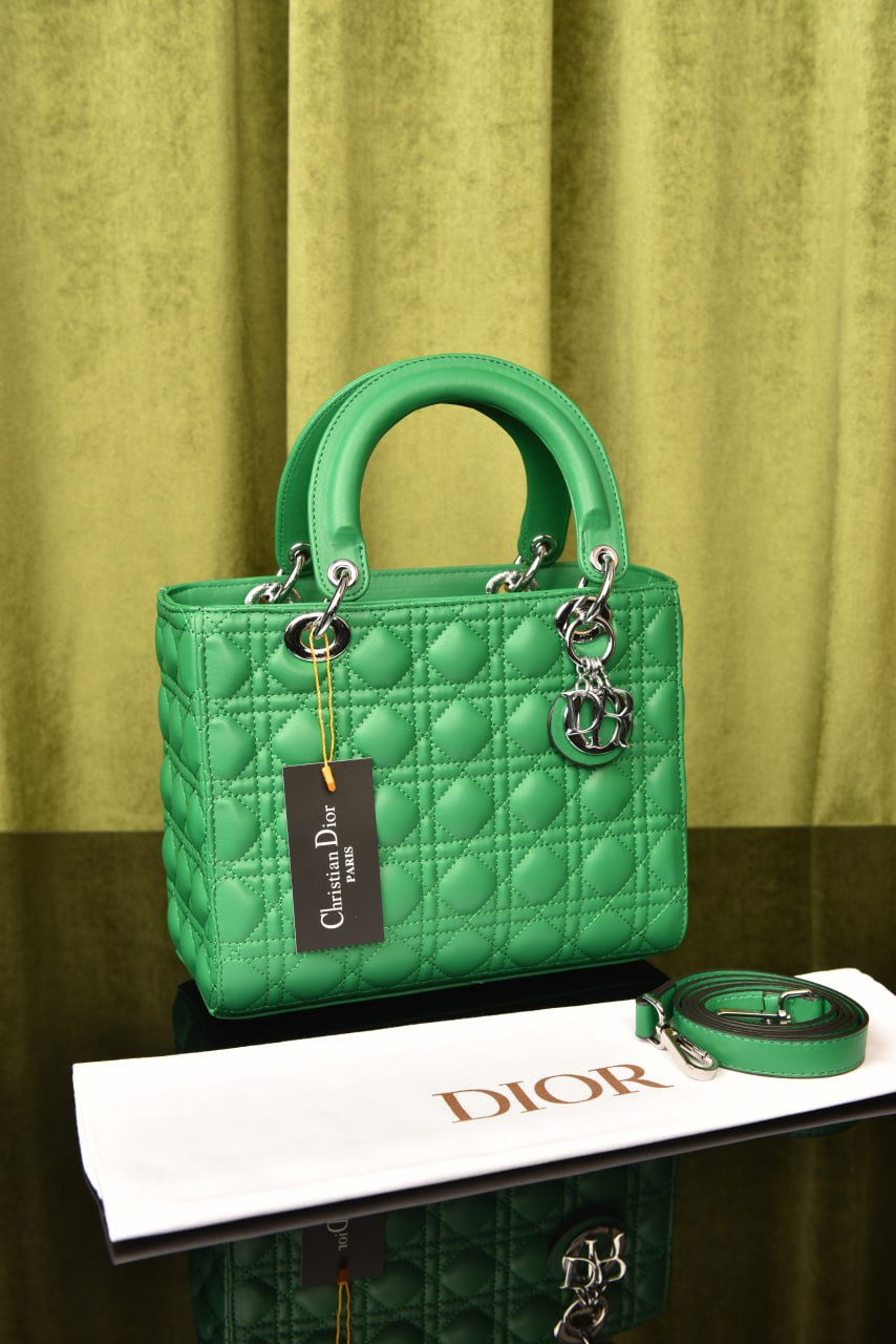 Lady Dl0r Bag