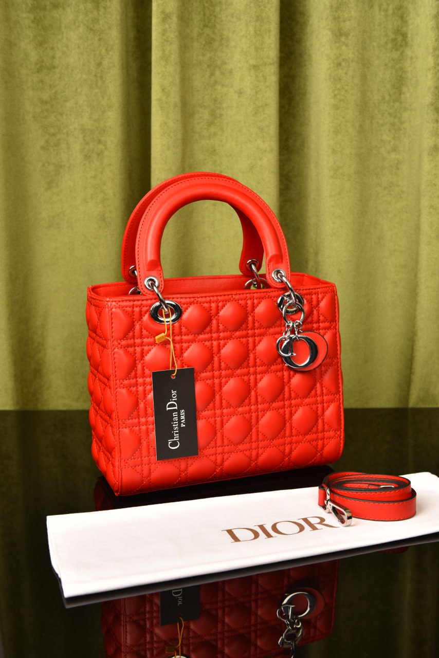 Lady Dl0r Bag