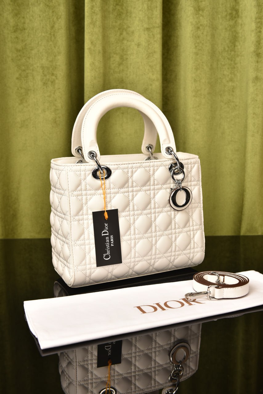 Lady Dl0r Bag