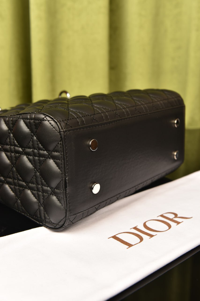 Lady Dl0r Bag