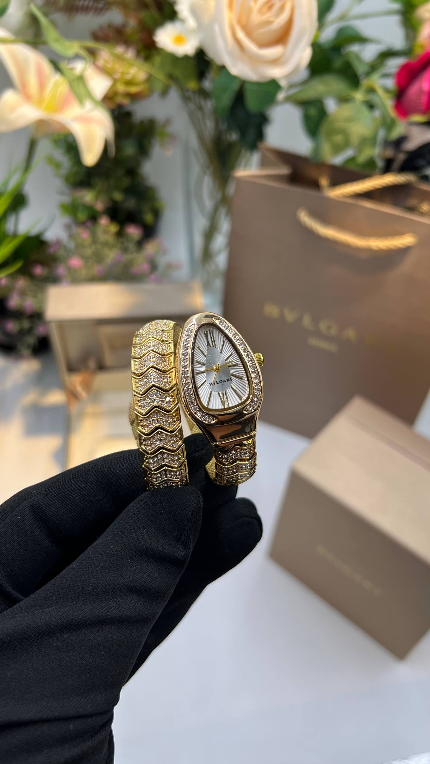 BVIGARl - Watch